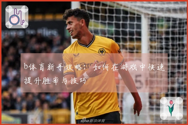 b体育新手攻略：如何在游戏中快速提升胜率与技巧