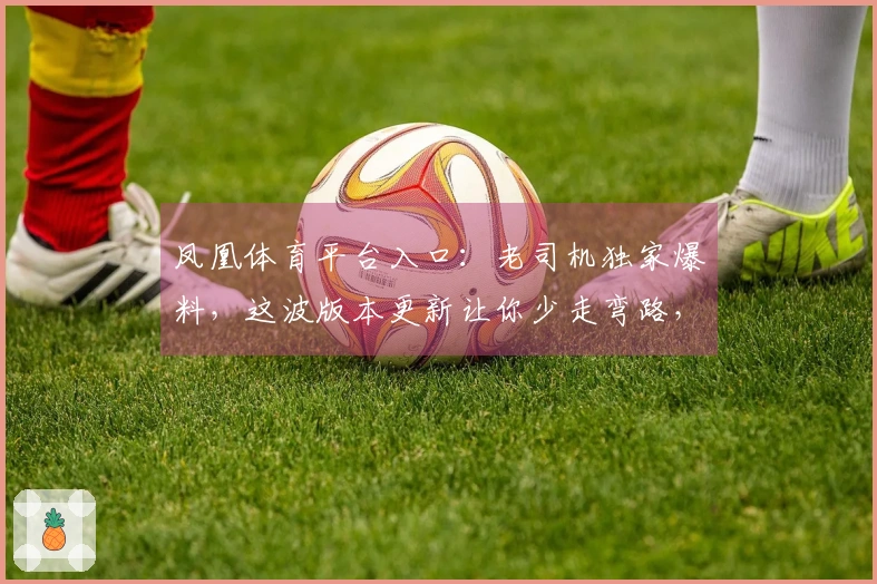 凤凰体育平台入口：老司机独家爆料，这波版本更新让你少走弯路，直接起飞！