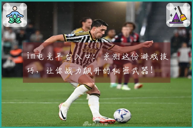 im电竞平台入口：亲测这份游戏技巧，让你战力飙升的秘密武器！